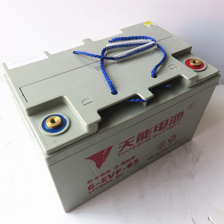 天能6-EVF-65A 负极.jpg